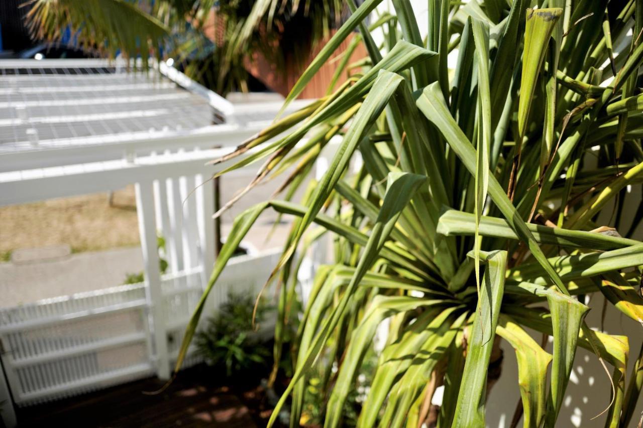 The Bungalows At Bondi Σίδνεϊ Εξωτερικό φωτογραφία